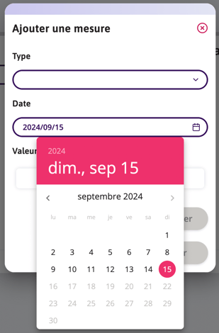  Le mois s'affiche lors de l'ajout d'une mesure à partir du sélecteur de date.