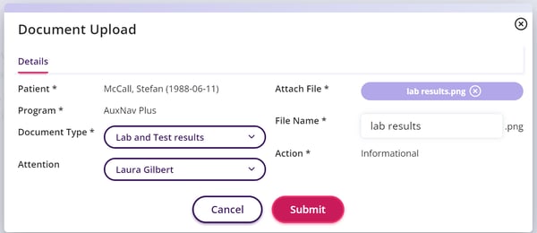 The document upload window where you can fill in the details about the document and browse for the file on your computer.