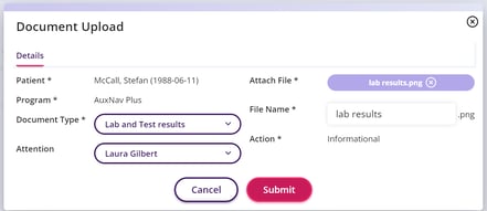 The document upload window where you can fill in the details about the document and browse for the file on your computer.