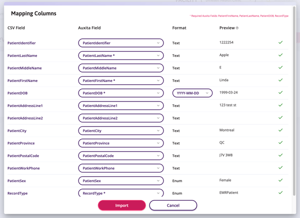 A screenshot of the Mapping Columns and patient demographics.